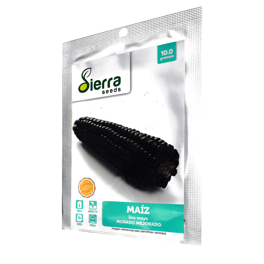 Semilla de maíz morado mejorado - Sierra Seeds x 10 g