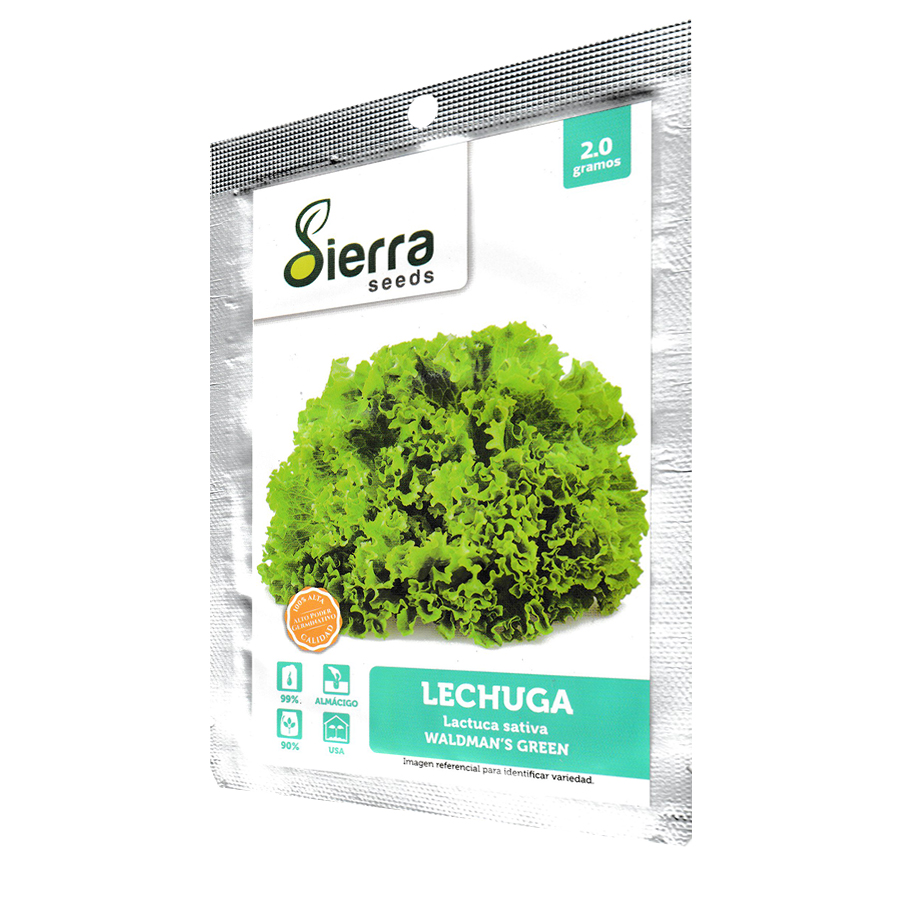 Semilla de lechuga waldman's green - Sierra Seeds x 2.0 g